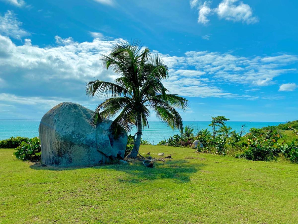 Blue Horizon Boutique Resort Vieques Extérieur photo