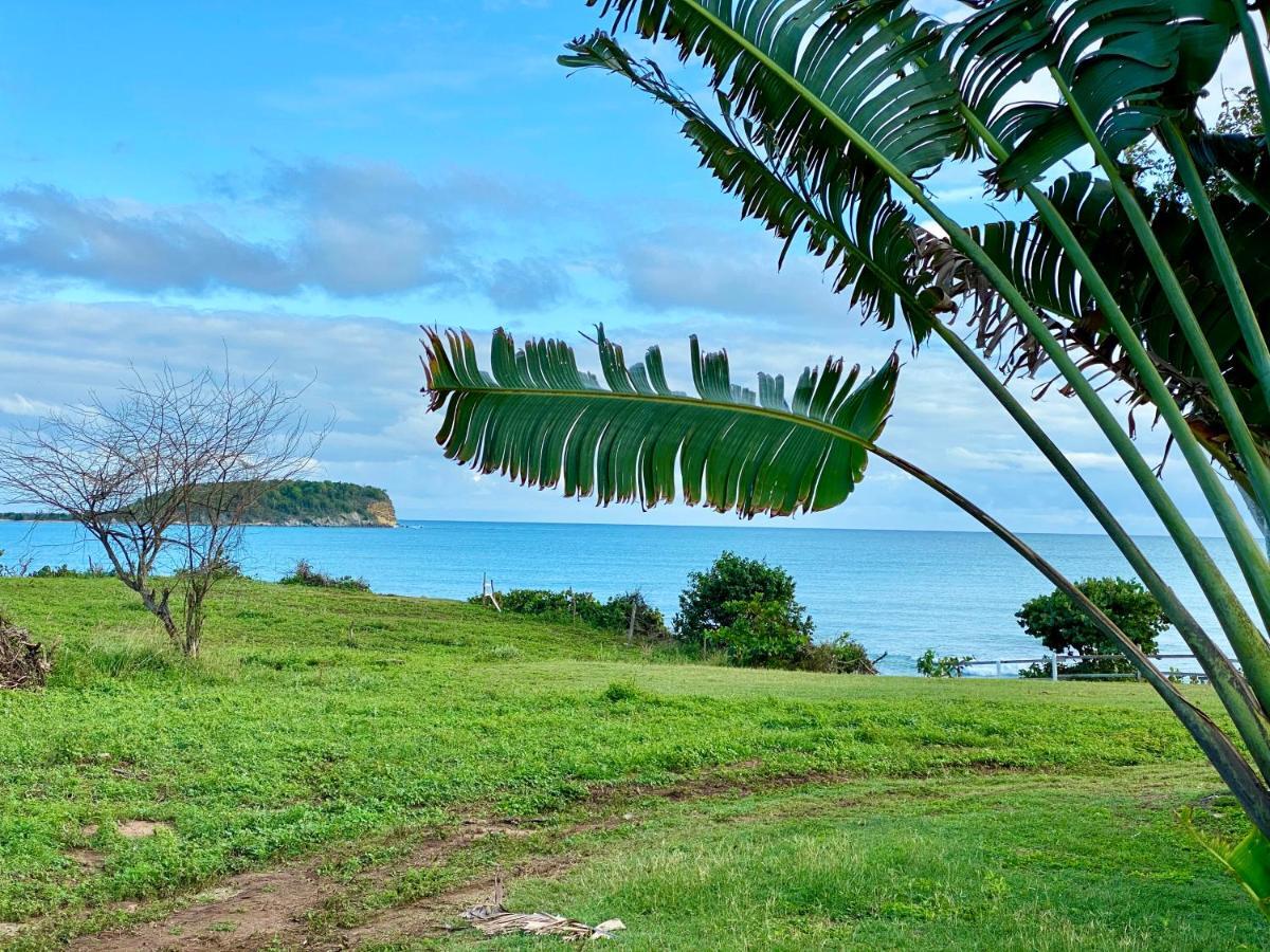 Blue Horizon Boutique Resort Vieques Extérieur photo