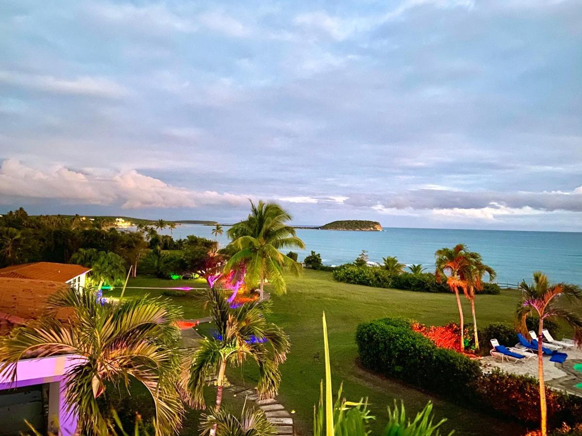 Blue Horizon Boutique Resort Vieques Extérieur photo