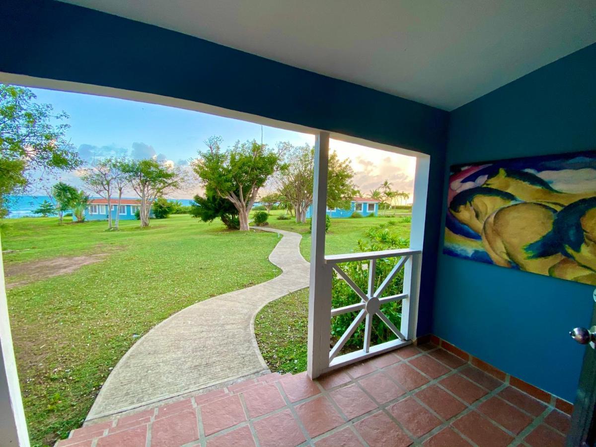 Blue Horizon Boutique Resort Vieques Extérieur photo