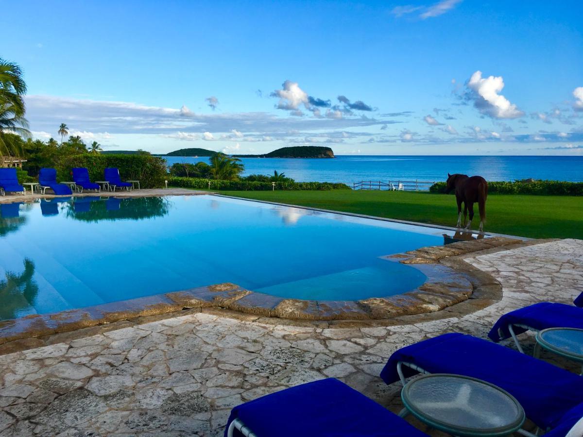 Blue Horizon Boutique Resort Vieques Extérieur photo